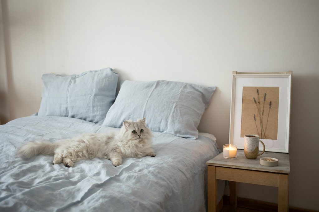gato recostado junto a vela