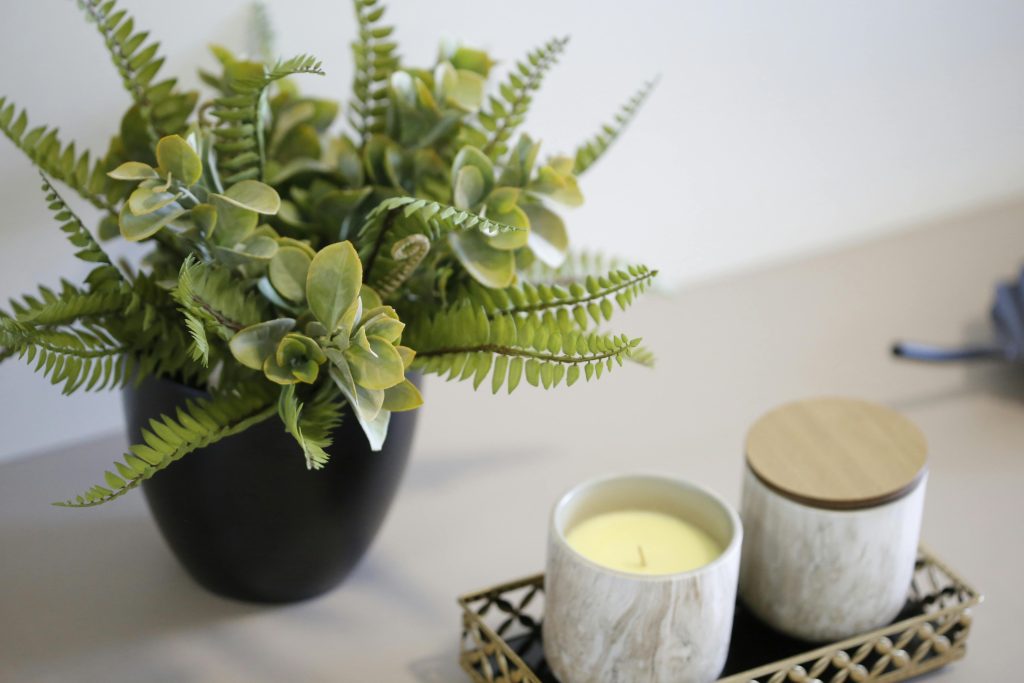 vela aromatica
